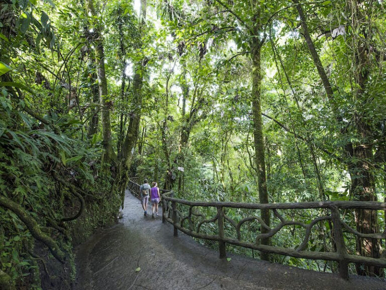 Hanging Bridges Mistico Park