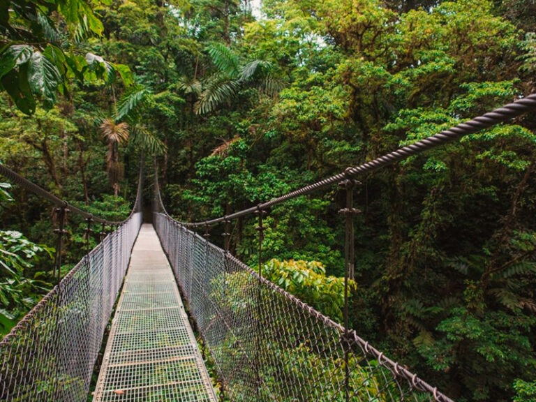 Hanging Bridges Mistico Park