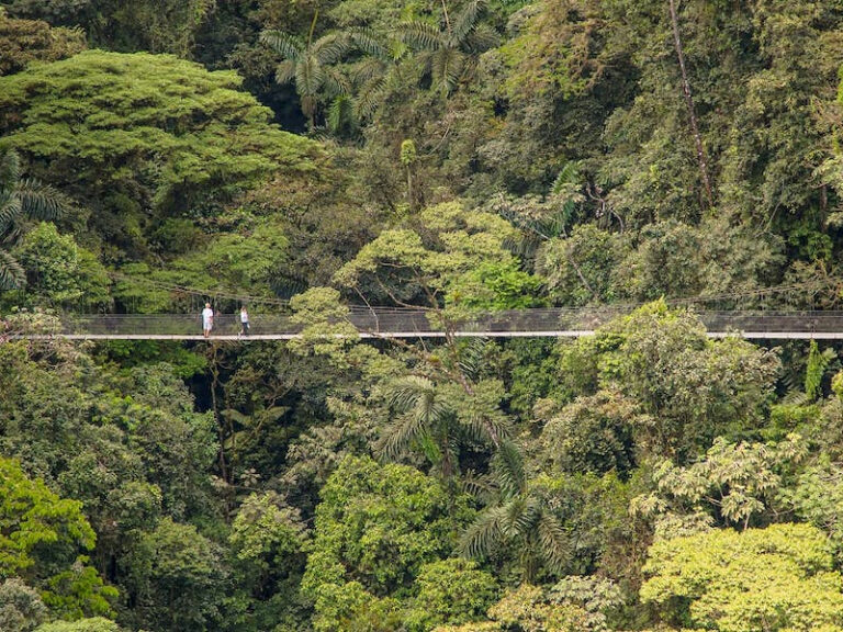 Hanging Bridges Mistico Park4