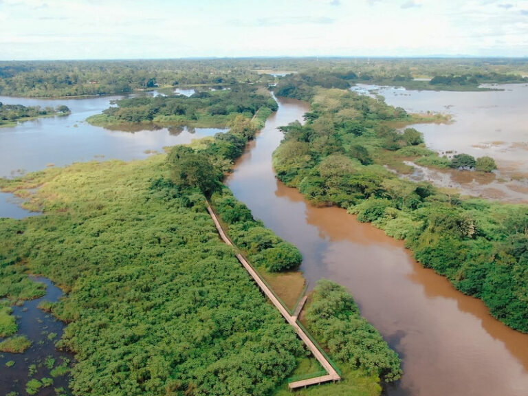 Tour Natural Caño Negro2