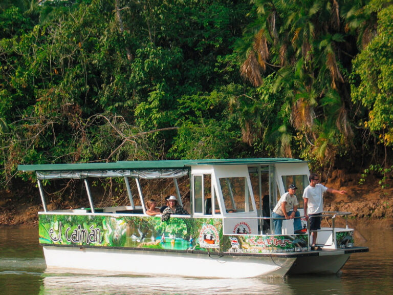 Tour Natural Caño Negro4